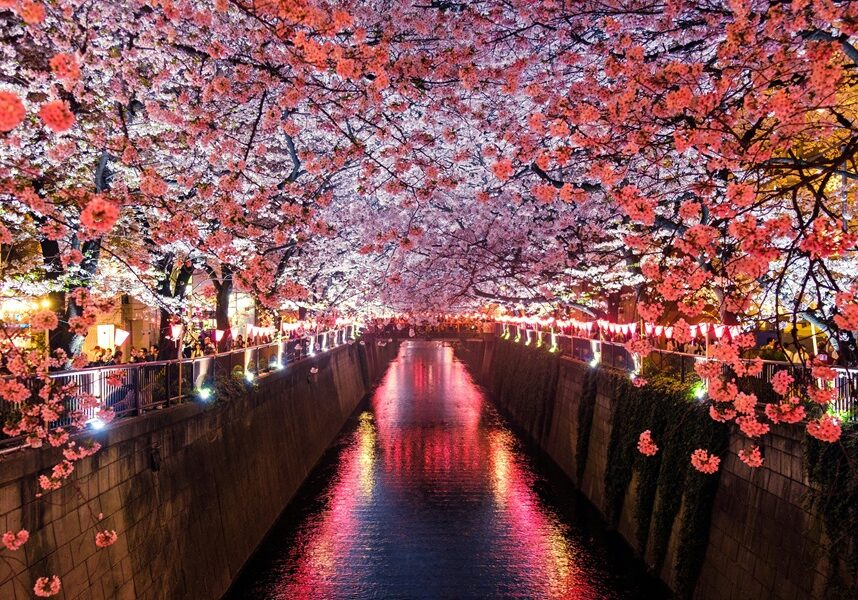 1740924513-Japan.jpg