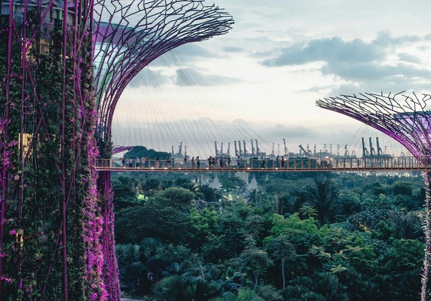 1740924771-Singapore.jpg