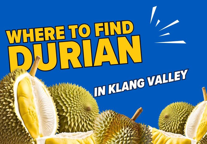 1750409253-durian blog post cover 2.jpg