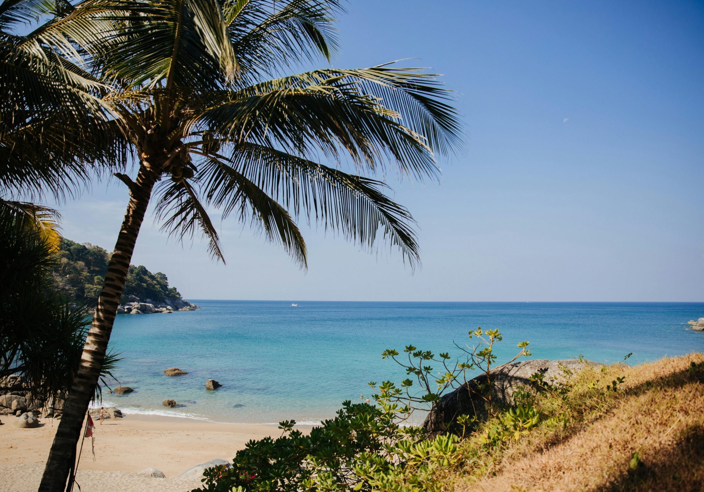 things to do in phuket cover image