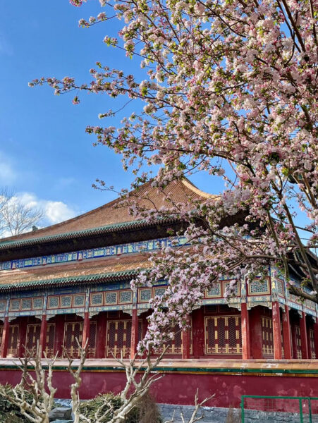 jingshan park 